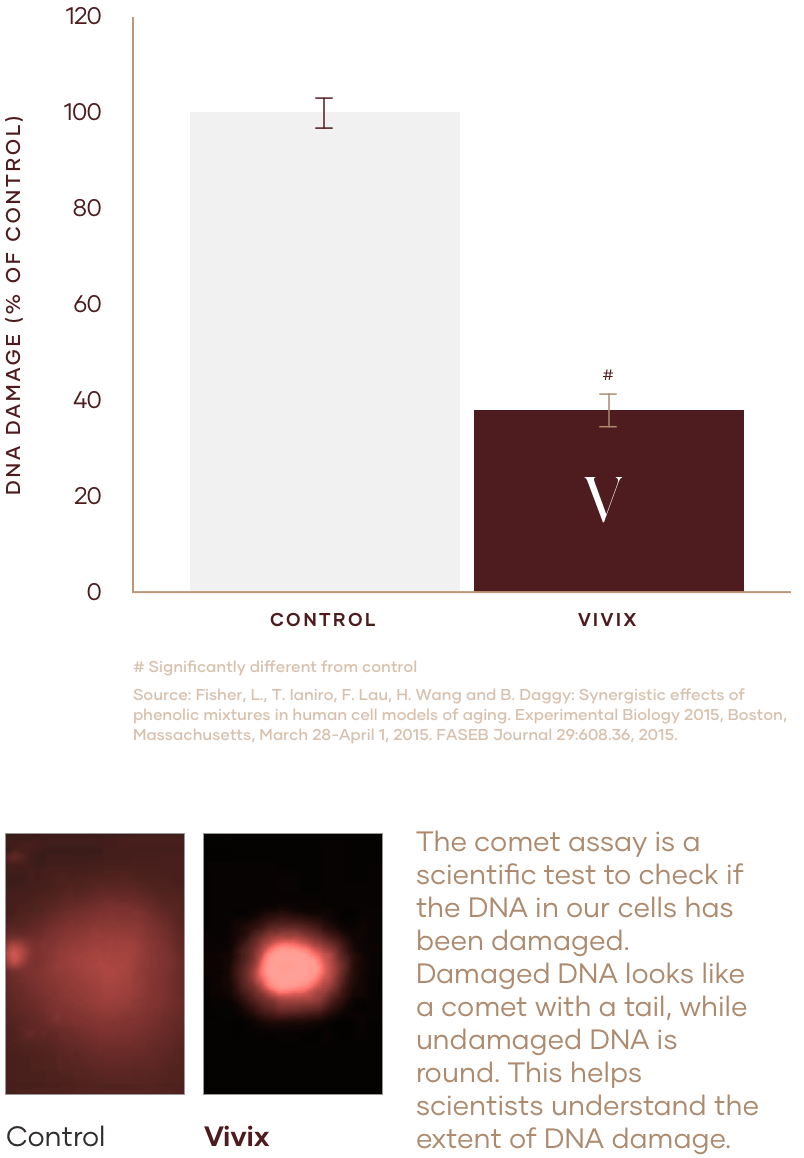 DNA damaage chart